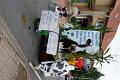 DSC01255.jpg