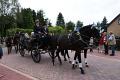 DSC01452.jpg