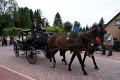 DSC01453.jpg