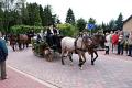 DSC01454.jpg