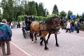 DSC01455.jpg